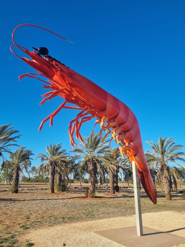 Day 16 - Tom Price to Exmouth